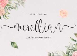 Merellian Calligraphy Font