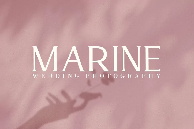 Monaline Font preview image 3