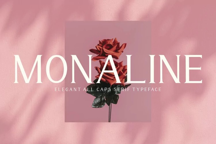 Monaline Font preview image 1