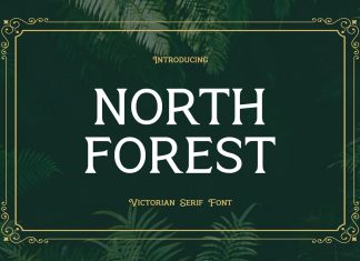 North Forest Display Font