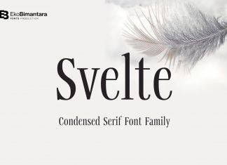 Svelte Serif Font