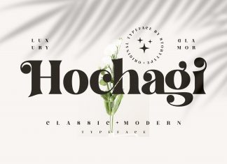 Hochagi Classy Serif Font