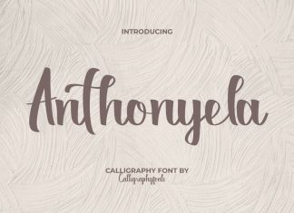 Anthonyela Script Font