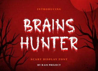 Brains Hunter Display Font