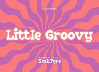 Little Groovy Display Font