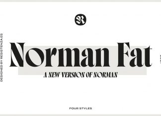Norman Fat Serif Font
