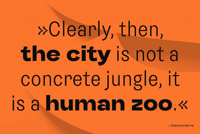 Sombra Font Family Download Free Font