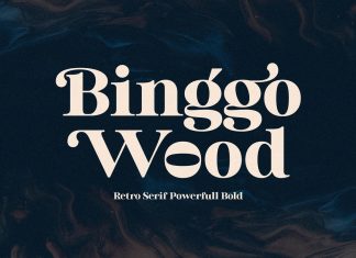 Binggo Wood Serif Font