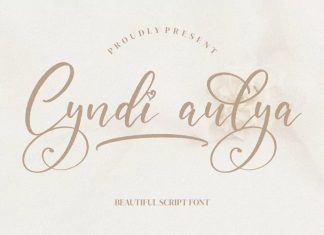 Cyndi Aulya Script Font