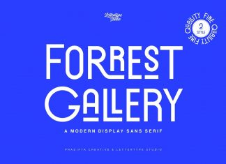 Forrest Gallery Sans Serif Font