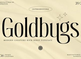 Goldbugs Serif Font