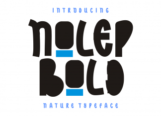 Nolep Bold Display Font
