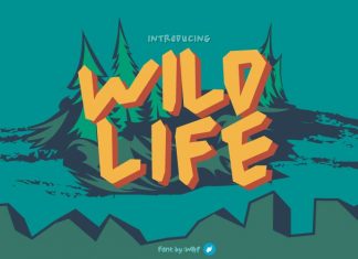 Wild Life Display Font