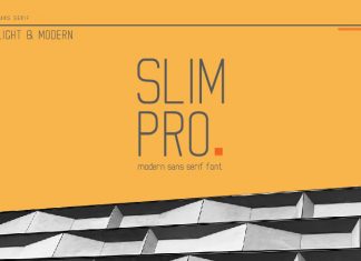 Slim Pro Sans Serif Font