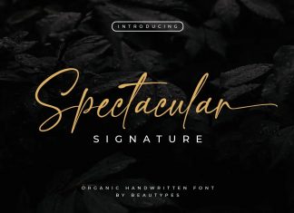 Spectacular Handwritten Font