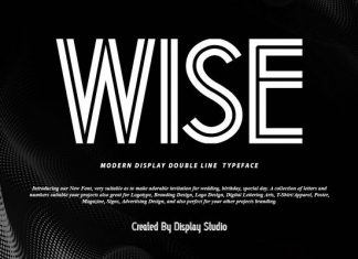 WISE Display Font