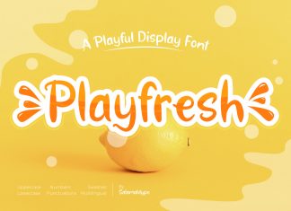 Playfresh Display Font