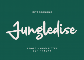 Jungledise Script Font