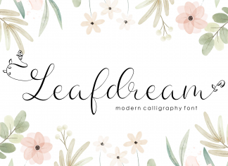 Leafdream Script Font