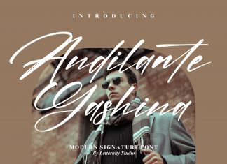 Andilante Gashina – Modern Signature Font