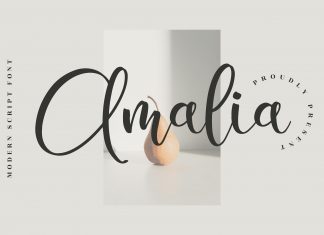 Amalia – Modern Script Font