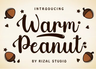 Warm Peanut Script Font