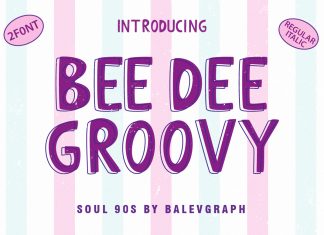 Bee Dee Groovy Display Font