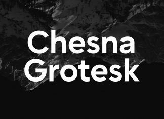Chesna Grotesk Sans Serif Font