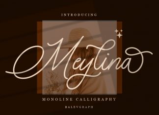 Meylina Monoline Calligraphy Font