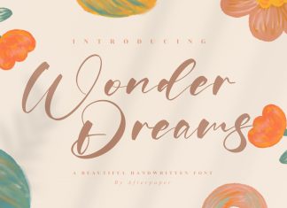 Wonder Dreams Script Font