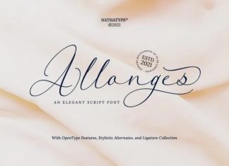 Allonges Calligraphy Font