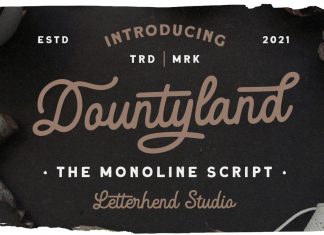 Dountyland Script Font