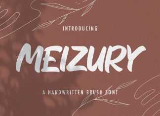 MEIZURY Brush Font