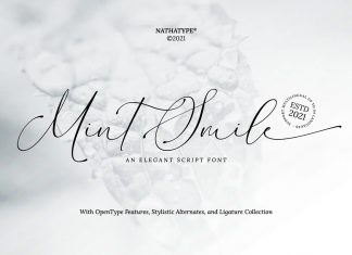 Mint Smile Calligraphy Font