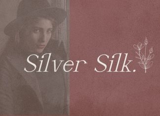 Silver Silk Serif Font
