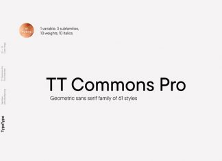 TT Commons Pro Sans Serif Font