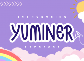 Yuminer Display Font
