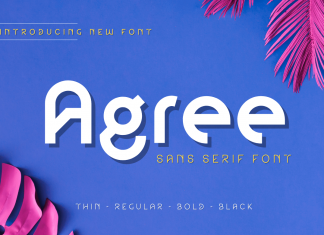 Agree Display Font