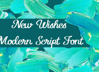 New Wishes Modern Script Font