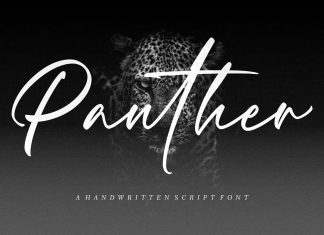Panther Script Font