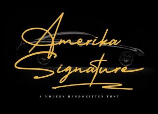 Amerika Signature Script Font
