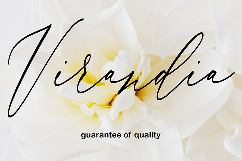 Virandia Script Font