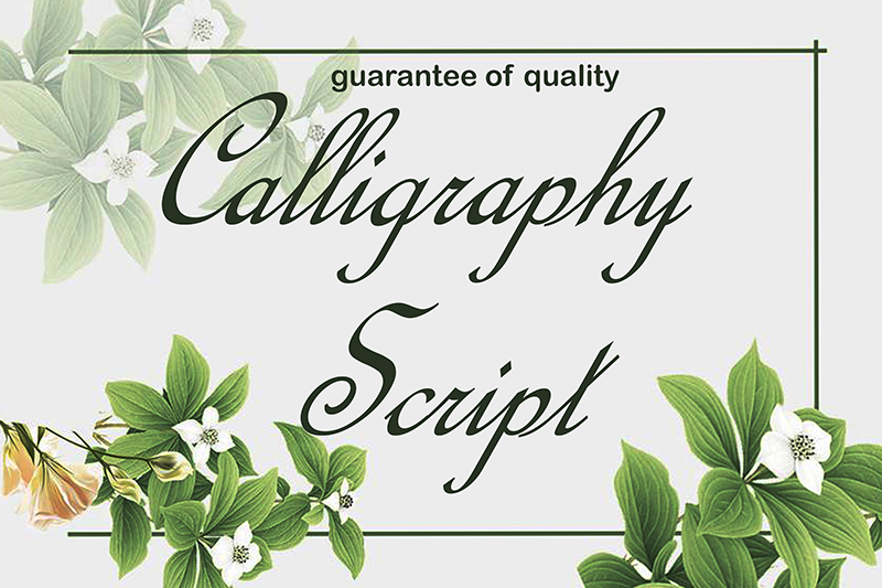 Calligraphy Script Font