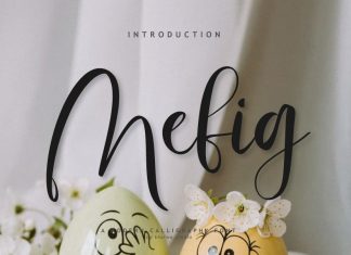 Mefig Script Font