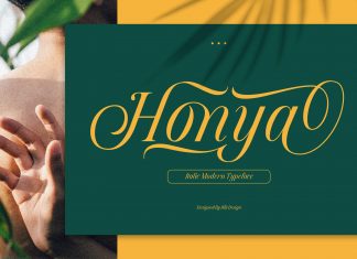 Honya Serif Font