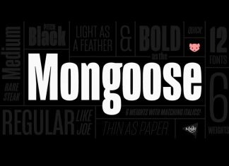 Mongoose Sans Serif Font