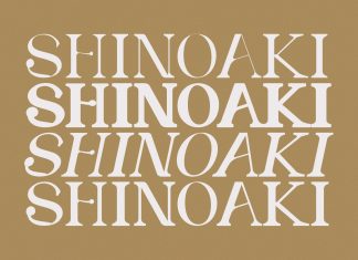SHINOAKI Serif Font