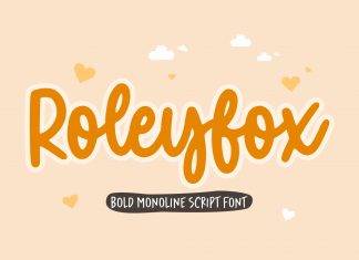 Roleyfox Script Font