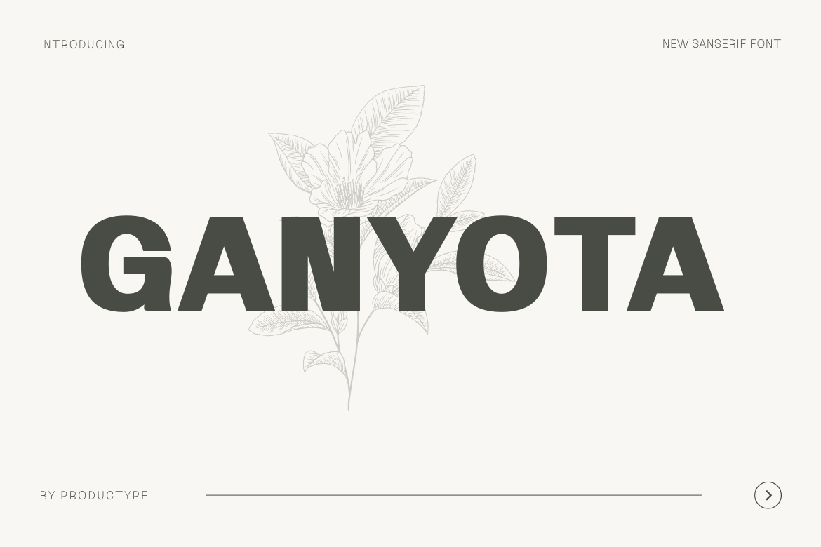 Ganyota Sans Serif Font