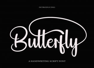 Butterfly Calligraphy Typeface